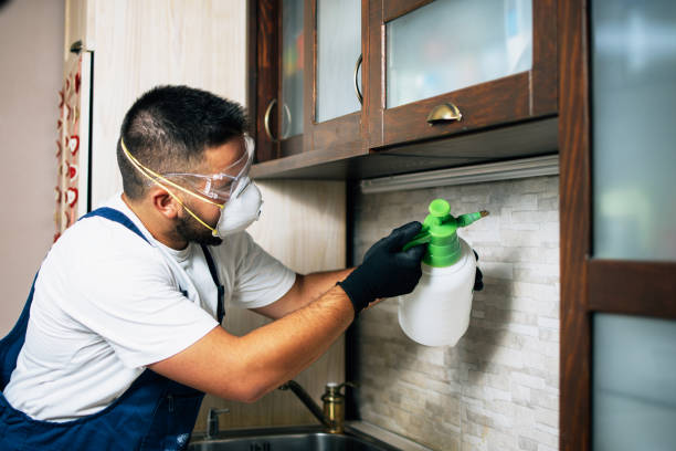 Best Pest Prevention Services  in Wchester, IN
