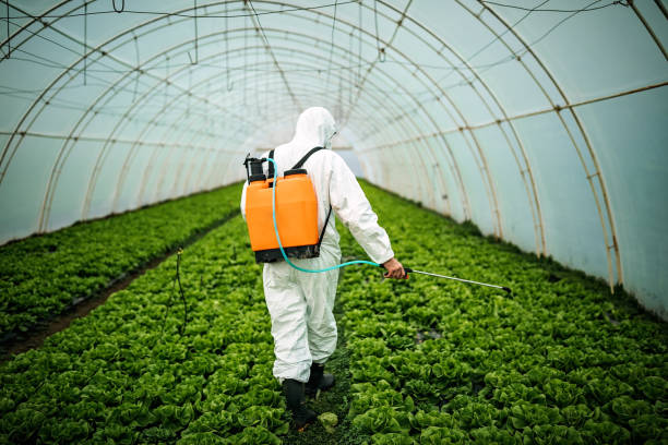 Best Pest Removal Services  in Wchester, IN
