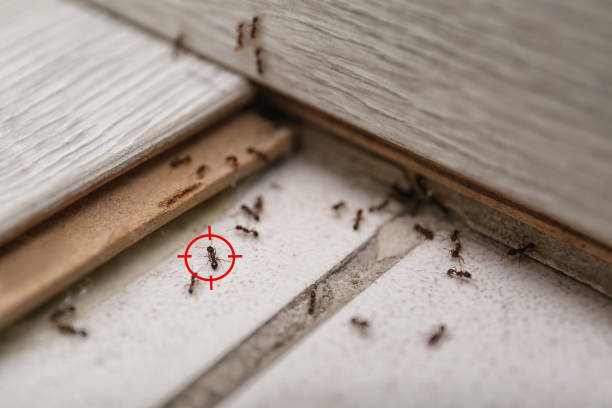 Best Wildlife Control Services  in Wchester, IN