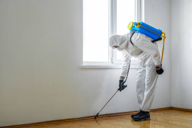 Best Flea Control Services  in Wchester, IN