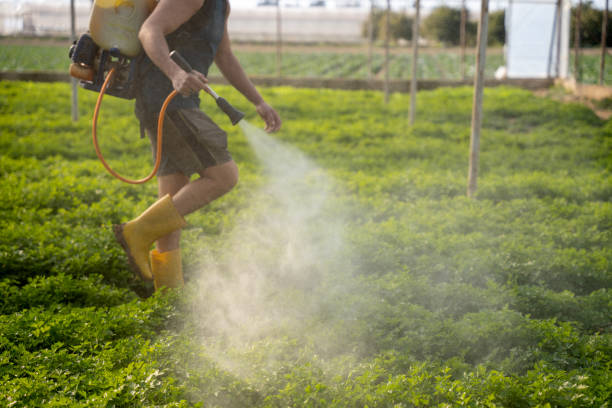 Best Wildlife Control Services  in Wchester, IN