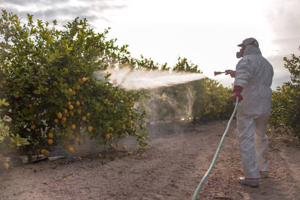 Best Bed Bug Extermination  in Wchester, IN