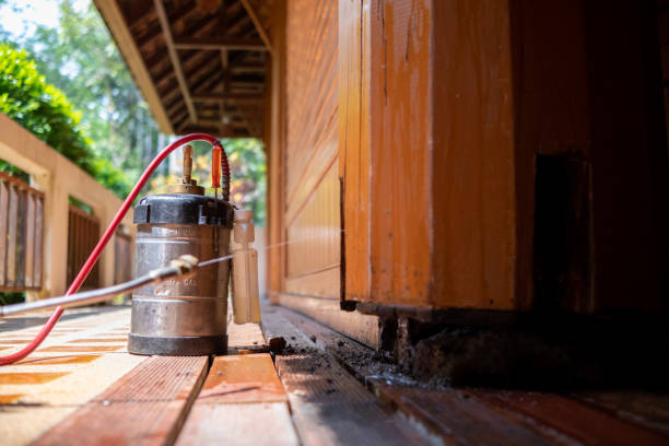 Best Ant Control Services  in Wchester, IN