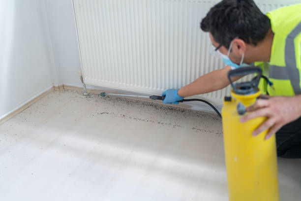 Best Residential Pest Control  in Wchester, IN