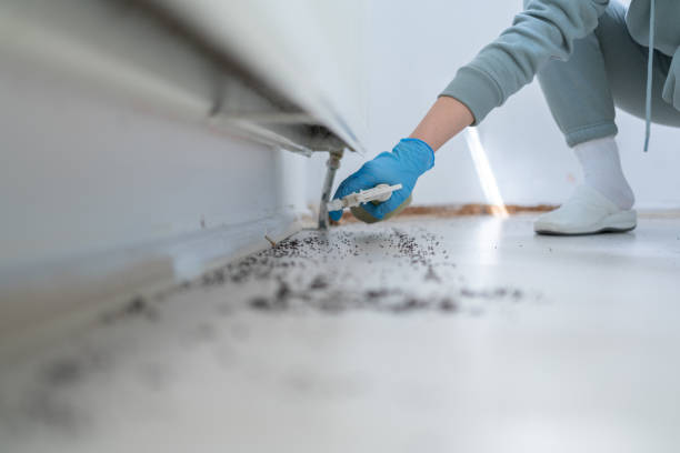 Best Insect Control  in Wchester, IN