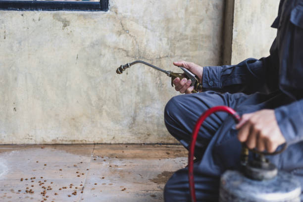Best Exterminator Services  in Wchester, IN