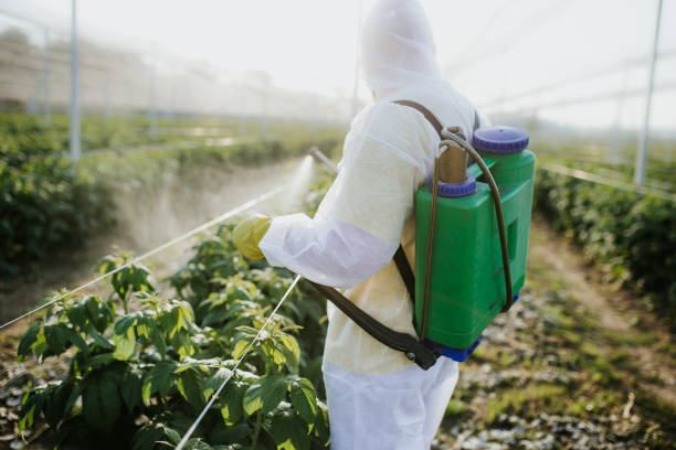 Best Pest Control for Businesses  in Wchester, IN
